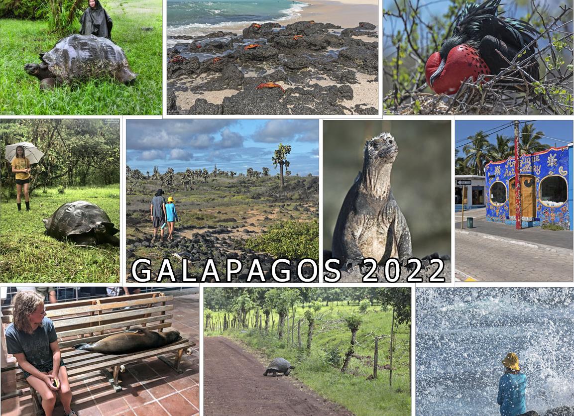 Эквадор подкупили хозяева? Скажите об этом Эннеру Валенсии!