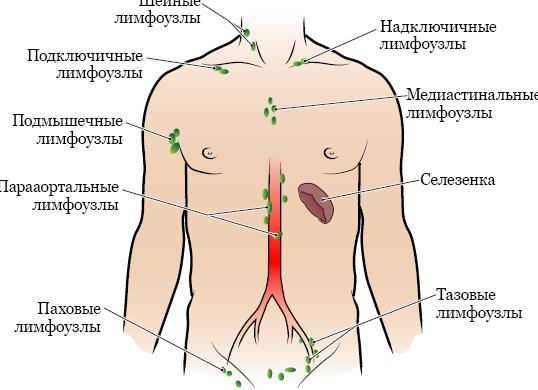 Усиление обороны, будущее команды и влияние на игру: последние новости «Спартака»