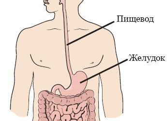 Зачем выпускать основу, если не хочешь бороться?! 